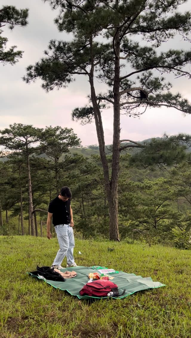 lost in forest